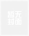 重生之瓷来运转 小说